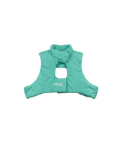 Load image into Gallery viewer, BSC _ CLD GILET - [TURQUOISE]
